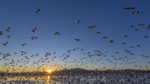 Record Hunting and Fishing Expansion Opens 95% of Wildlife Refuges to Public Access