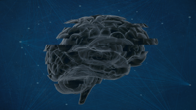 Scientists Debunk the Myth of the ‘Addictive Personality’
