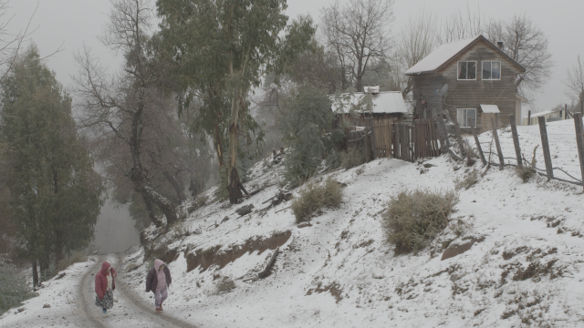 Sanfic Announces Nine Chilean Films for Competition, Highlighting Late Director Antonio Caro’s Final Work