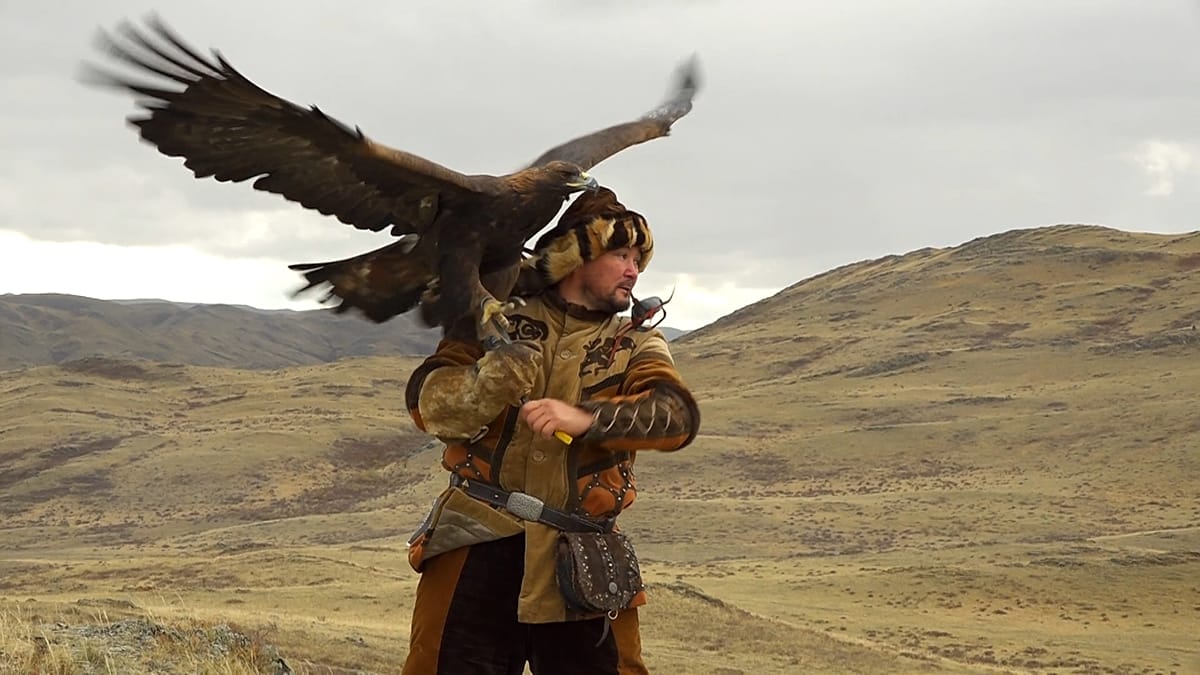 Kazakhstan Hosts Inaugural Open Asian Falconry Cup Celebrating Ancient Heritage